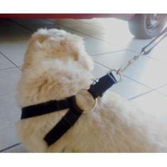 Peitoral  em X guia para condução - KING OF PETS