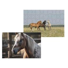 Kit 2 Quebra-Cabeças Atividades Para Mente Cavalos 40 Peças - Coleção 