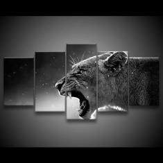 Quadro Decorativo 129x63 Sala Quarto Leoa Presas P 1