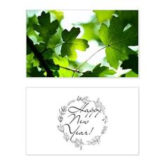 Sunshine Leaf Plant Picture Nature New Year Festival Cartão de felicitações Bless Message Present