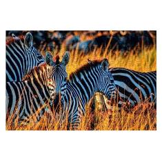 Quebra-Cabeça Cognitivo Zebras da Savana 300 peças