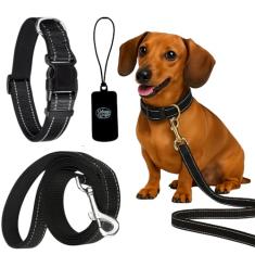 Daizzy Gear Conjunto de coleira, coleira e bolsa refletiva para cães - Coleira durável de 1,5 m para cães pequenos, médios e grandes - mão macia com conforto acolchoado para caminhar (conjunto de 4