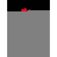 Histórias mal-assombradas em volta do fogão de lenha