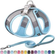 Conjunto de Arnês e Coleira Aiitle Easy Walk para Cães de Médio Porte