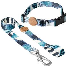 Conjunto Coleira E Guia Tamanho Pp Azul Noronha