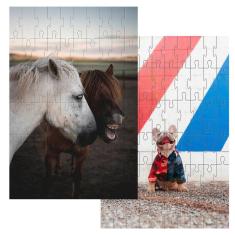 Kit 2 Quebra-cabeças Infantis Animais Divertidos 24 peças