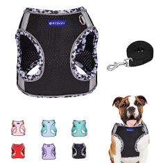BTDCFY Conjunto de arnês e coleira para cães Step in Mesh respirável refletivo à prova de fuga colete para cães sem asfixia, malha leve para cães