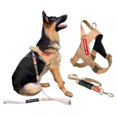 Coleira Peitoral com Guia para cachorro - Modelo Estriado Tamanho G - 