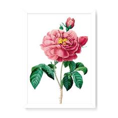 Arte Maníacos Quadro Decorativo Camélia Rosa - 23x16,25cm (Moldura caixa em laca branca)