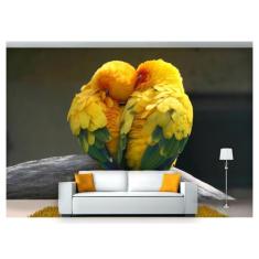 Papel De Parede Animais Casal De Piriquitos  Anm127 - Você Decora