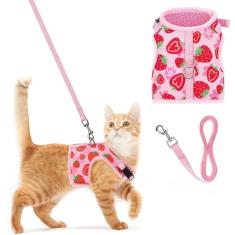 PUPTECK Conjunto de coleira e coleira de malha macia para gatos, acolchoados, à prova de fuga, para gatos, cães pequenos, coelhinhos
