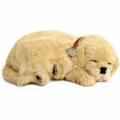 Brinquedo de Pelúcia Que Respira Perfect Petzzz Acompanha Pilha, GOLDE