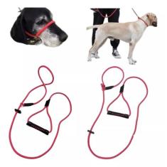 Coleira Cabresto Adestramento (sidekick) 2em1 -  1,90mts - P.H Pet, Ve