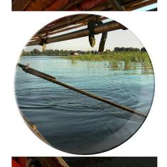 Prato de porcelana decorativa Paddy Field Prato de jantar Salver