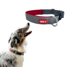 Coleira com Trava de Segurança para Cachorro - Tamanho P - Canadá K9 A