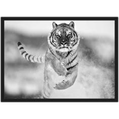 Quadro Decorativo Animais Tigre Preto E Branco Decoração Com Moldura -