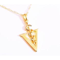 Colar Cordão Amor É Cuidar Veterinária Folheado A Ouro 18k