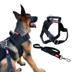 Coleira Peitoral para Cachorro com Guia - Tamanho M - Canadá K9 Acessó