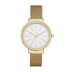 Relógio Skagen Feminino Tbd Skw2477/4bn