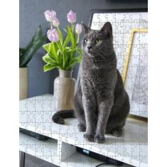 Quebra Cabeça Gatos Cinza De 300 Peças Mdl03 + Chaveiro - Reidopendriv