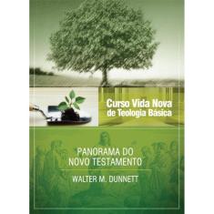 Curso vida nova de teologia básica - vol. 3 - panorama do novo testamento