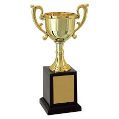 Taça 21CM Vitória