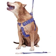 Peitoral Cachorro com Guia e Adaptador serve Pit Bull Labrador