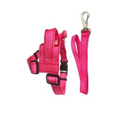 Conjunto Peitoral Colorido com Guia para Cachorro Cores Variadas - Can