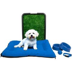 Kit Colchonete Pet Pequeno Sanitário Grama Comedouro Coleira Bolinha -