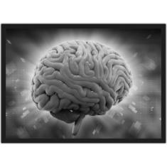 Quadro Decorativo Medicina Cérebro Consultórios Médicos Decorações Com