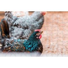 Quebra-Cabeça 24 peças atividades para Idosos Peças grandes - Reidopen