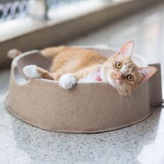 Cama Para Gatos Catplace Buddy Toys 3 Unidades