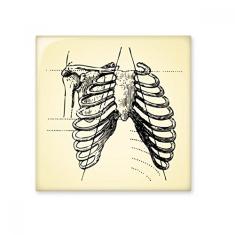 Adesivo brilhante de azulejo de cerâmica com desenho de esqueleto humano de osso canelado
