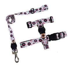 Peitoral coleira H para cachorro com guia resistente para passeio - FA