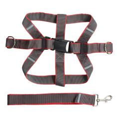 Peitoral Com Guia Reforçado Para Cachorros de Grande Porte Pitbull Labrador Golden