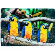 Combo 4 Quebra-cabeças Passarinhos 60 peças Divertido