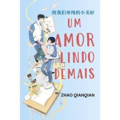 Livro - Um amor lindo demais