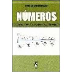 Números: O Simbólico E O Racional Na História