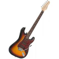 Guitarra Giannini Strato G-100-3TS/TT GGX1S G100