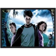 Quadro Decorativo Harry Potter Séries Filmes Cinema Decorações Com Mol
