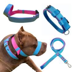 Super Kit Coleira Guia e Focinheira Para Cães Forte Adulto Pitbull Pet