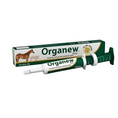 ORGANEW PASTA 32G