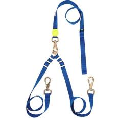 Guia Dupla Para Cachorro com Destorcedor - GARI & Co, Azul