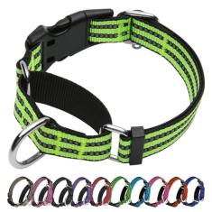 JOYEEIIOO Coleira para cães Martingale, coleira refletiva de nylon ajustável com fivela, coleira para cães pequenos, médios e grandes (verde limão)