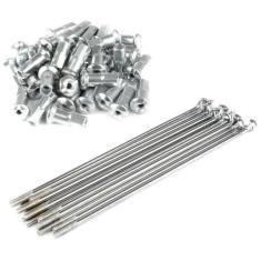 Raio Cromado Gp7 (d) Biz 100/125 - XIP