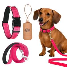 Daizzy Gear Conjunto de coleira, coleira e bolsa refletiva para cães - Coleira durável de 1,5 m para cães pequenos, médios e grandes - Conjunto de mão macia com conforto acolchoado para caminhadas