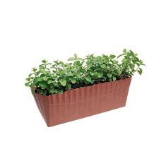 Vaso Floreira Cachepot Plissado Terracota Marrom Coral