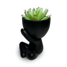 Kit Vaso Robert Porcelana + Suculenta Planta Bbb Criativo  - FX