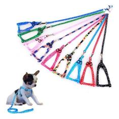 Coleira Peitoral Para Cães Pequeno Porte Até 10kg Ajustável - H2, Azul