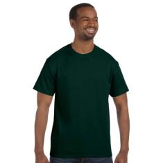 Camiseta masculina sem etiqueta Hanes 5250